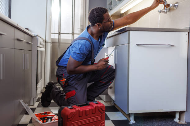 Best Plumbing Services Near Me  in Conestee, SC